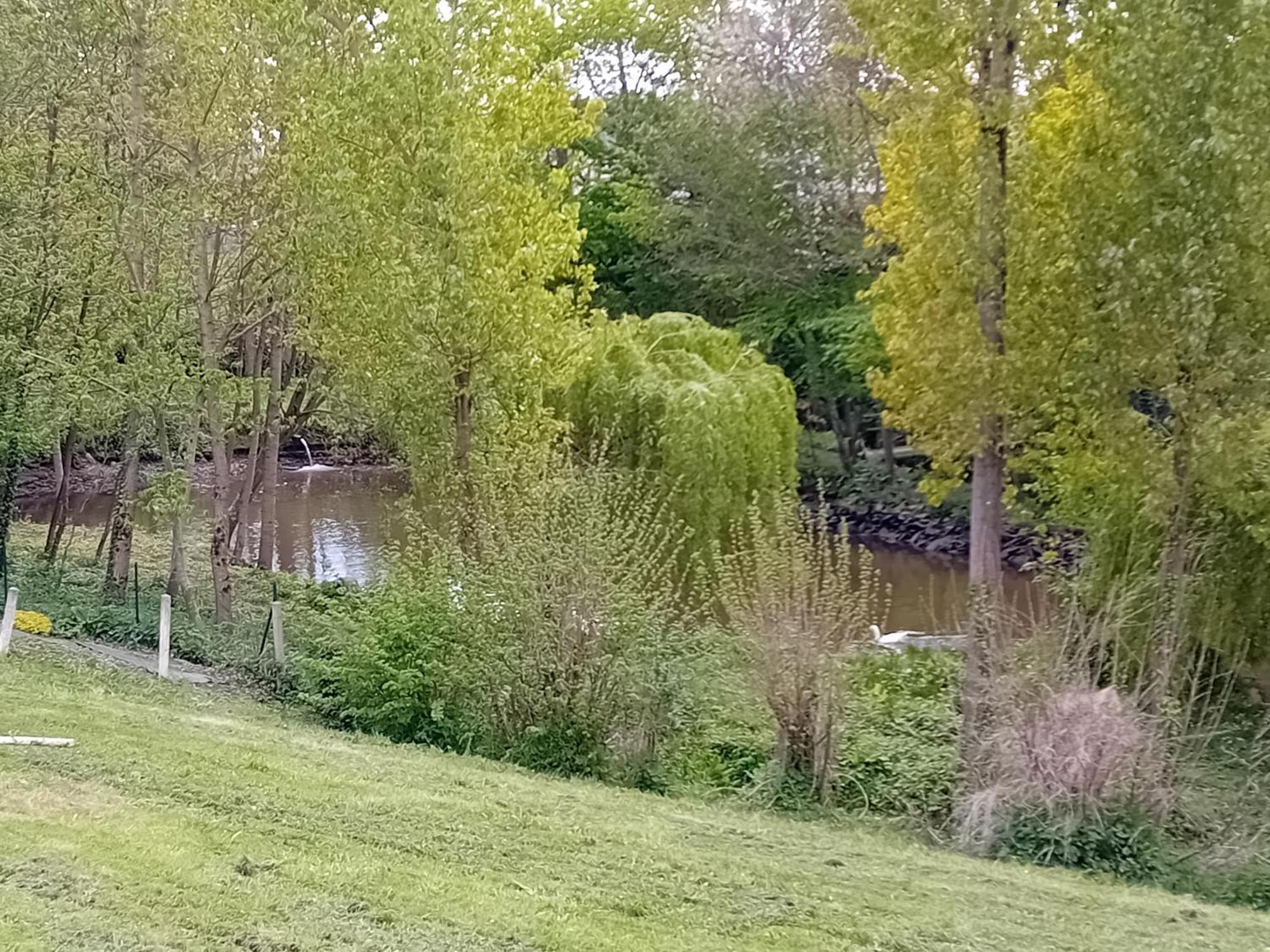 Maison Au Coeur De La Nature Cerisy-la-Foret Exteriör bild